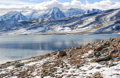 Winter Mt. Timpanogos and Deer Creek Reservoir Photograph by Gary Whitton - Fine Art America