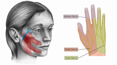 10 Signs of Nerve Damage to Never Ignore | 6 Minute Read