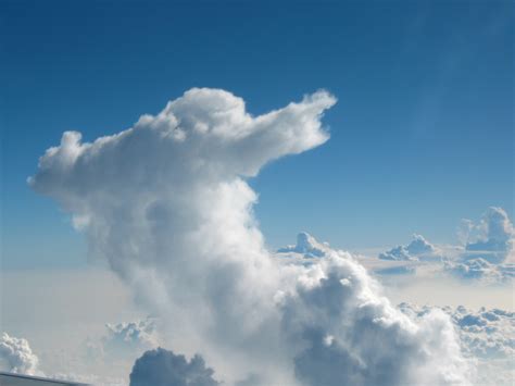 Anthropomorphic Cloud at sky free image download