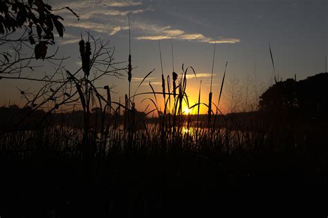 Blackwater NWR sunrise...6O3A7028A | Blackwater NWR, Marylan… | Flickr