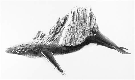 Hybrid Graphite Drawings by Mateo Pizarro Merge Animals and Humans with ...