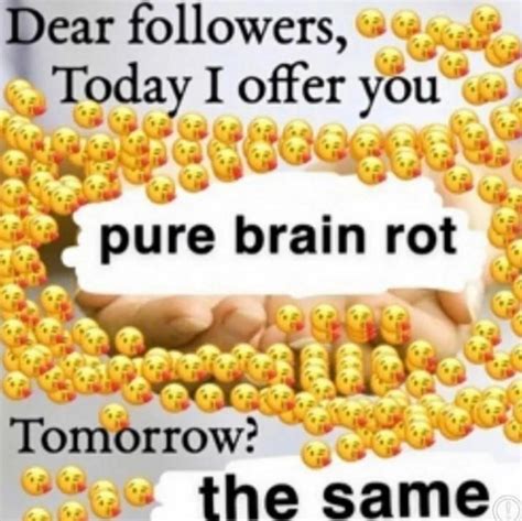 today i offer you pure brain rot | Brain Rot | Know Your Meme