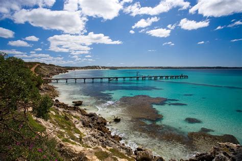 Kangaroo Island Tours From Adelaide - 2020 Travel Recommendations | Tours, Trips & Tickets | Viator