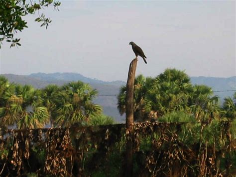 Oaxaca Biodiversity – Planeta.com