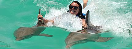 Cancun Dolphin Royal Swim | Cancun Swimming with Dolphins & Manatees