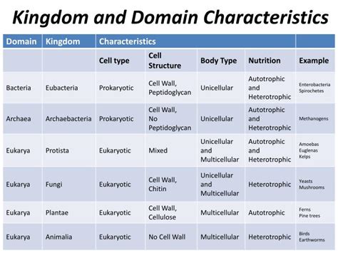 PPT - Kingdoms and Domains PowerPoint Presentation - ID:5353746