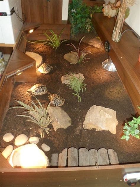 Enclos à tortues | Tortoise enclosure, Tortoise habitat, Tortoise house