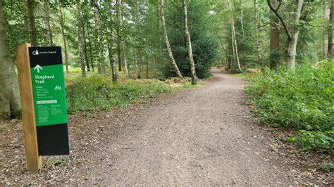 The Shepherd Trail - Thetford Forest (High Lodge) • Bike Riding » outdooractive.com