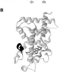 Structure and function of the VDR. Panel A) the VDR core DNA-binding... | Download Scientific ...