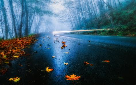 Download wallpaper for 2560x1080 resolution | USA road, autumn, rain ...