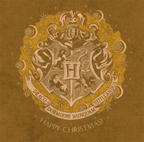 Harry Potter Christmas cards - YouLoveIt.com