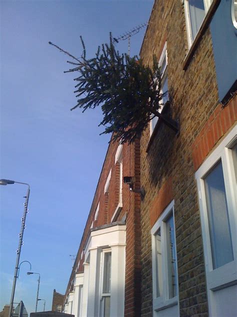 Flag pole Christmas tree | Explore Jeff Van Campen's photos … | Flickr - Photo Sharing!