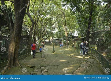 Ninoy Aquino Parks and Wildlife Rescue Center Animal Cage in Quezon ...