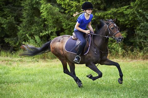 How to Ride a Horse Safely - EroFound