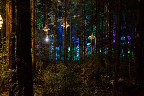 The Redwoods Nightlights incorporates unique creations from NZ world-acclaimed design ...