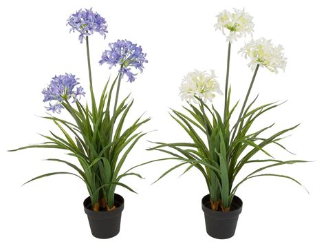 Decorative Assorted Artificial Agapanthus in Pot (Set of 2), Multi | Agapanthus in pots ...