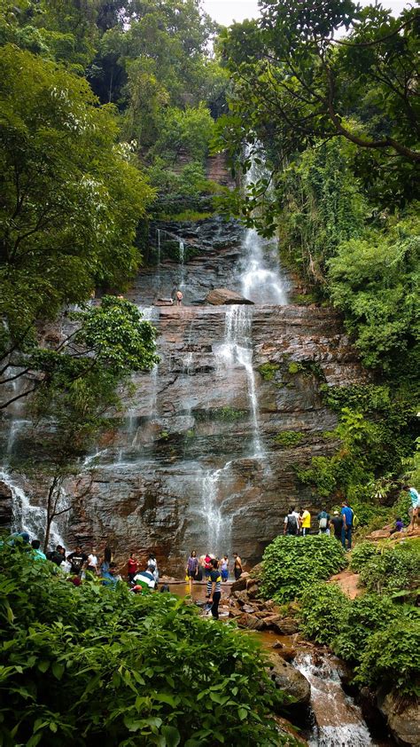 jhari falls | Cool pictures of nature, Honeymoon tour packages, Singapore tour