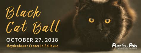 Black Cat Ball | Bellevue Downtown Association