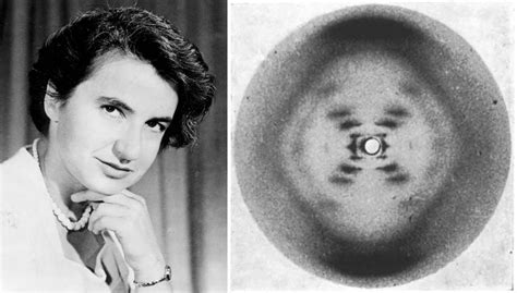 Rosalind Franklin, la scienziata ‘derubata’ del DNA. - Otium Pop