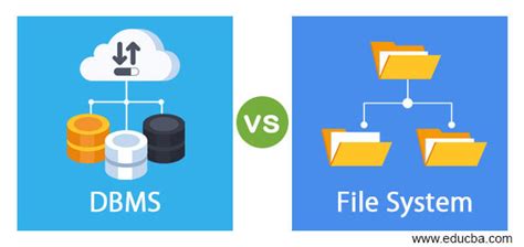 File System Vs Dbms | Hot Sex Picture