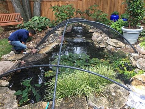 7 Ways To Heron Proof A Pond – Easy And Effective Methods - Pond Wiki