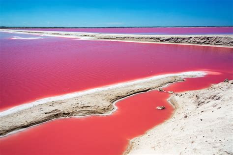 Mexico's Pink Lake, Las Coloradas, Is The Most Beautiful Place In The ...