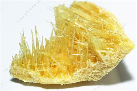 Monoclinic sulfur - Stock Image - C050/4762 - Science Photo Library