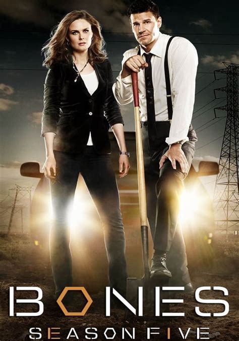 Bones Season 5 - watch full episodes streaming online