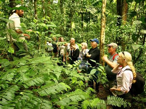 Iquitos Tours, Amazon tours in Peru, Amazon trip in Peru