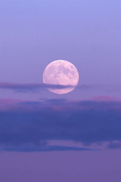 Mysterious Wallpaper purple moon Photos, Footage, and Updates