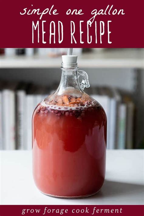 How to Make a Gallon of Mead: A Simple Mead Recipe | Recipe | Mead ...