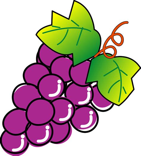 Cluster Of Grapes Clipart