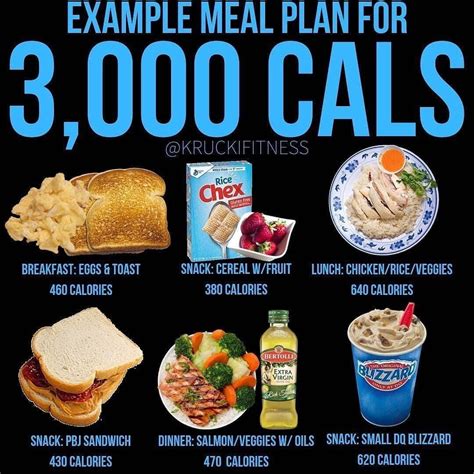 EXAMPLE MEAL PLAN FOR 3000 CALS ...