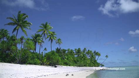 Palm tree lined deserted island - YouTube