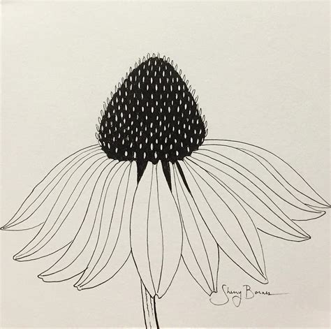 Echinacea paintings search result at PaintingValley.com