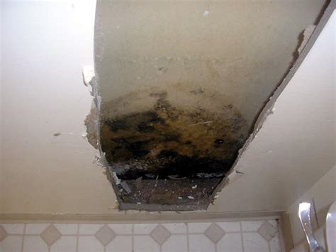 Mold in Walls is Extremely Common | Mold Awareness