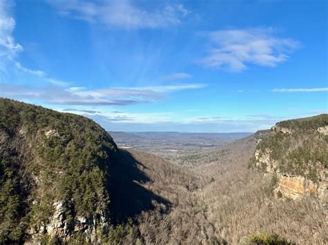 Georgia Mountains – Pedagogy of the Plants