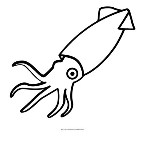 Squid clipart coloring page, Squid coloring page Transparent FREE for ...