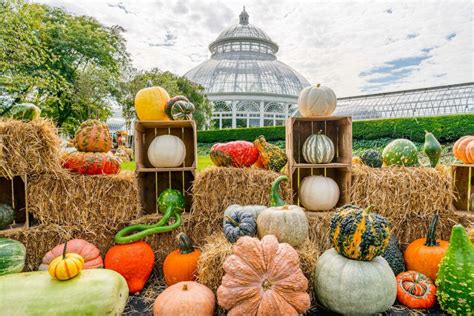 NYBG Fall-O-Ween at The New York Botanical Garden - Wherever Family