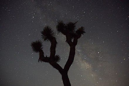 Joshua Tree National Park - Wikipedia