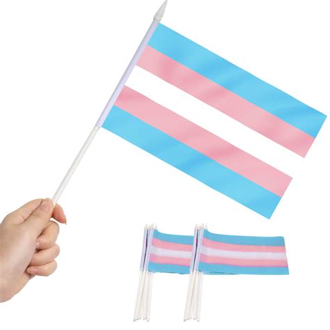 Transgender Stick Flag 5x8 Inch - Anley Flags