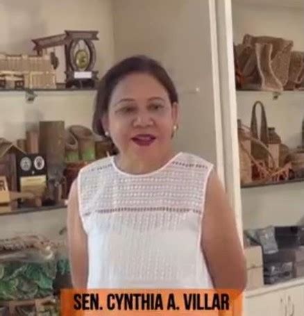 Cynthia Villar Biography, Achievements, Laws, Net Worth - PeoPlaid Profile