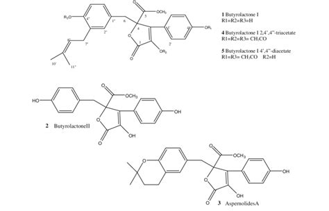 Structure of butyrolactone I derivatives | Download Scientific Diagram