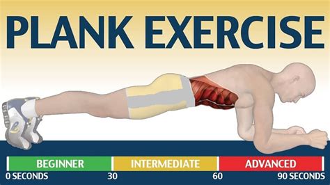 Plank Exercise More Efficient Than Crunches - GymGuider.com