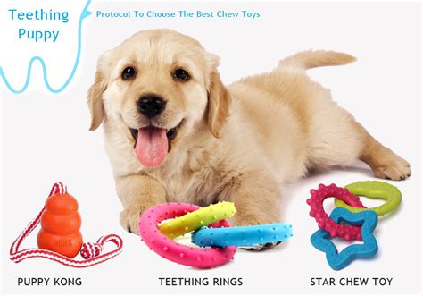 Good Toys For Puppy Teething | Wow Blog