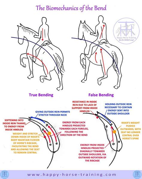 HHT Dressage Diagrams | Horse riding tips, Horse lessons, Horse exercises