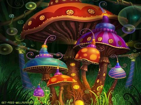 🔥 Free download Shroom Wallpapers [1024x768] for your Desktop, Mobile & Tablet | Explore 76 ...