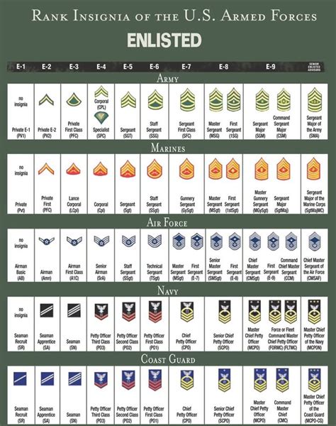 RANK STRUCTURE AND INSIGNIA OF ENLISTED MILITARY PERSONNEL - ALL BRANCHES OF US MILITARY SERVICE ...