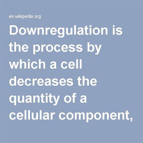 Downregulation and upregulation | Neurotransmitters, Molecular biology ...