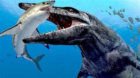 Giant Mosasaur Vs Megalodon